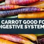Is Carrot Good for Digestive System