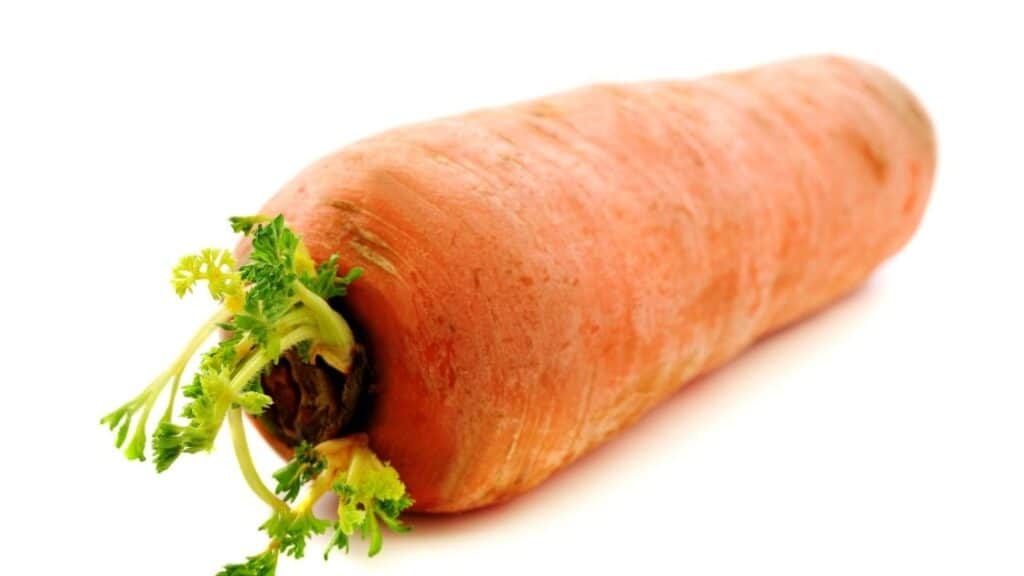 Is It OK to Eat Sprouted Carrots