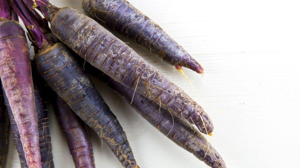 When Did Carrots Stop Being Purple