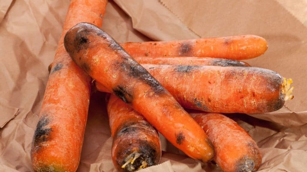 When Should You Throw Away Carrots