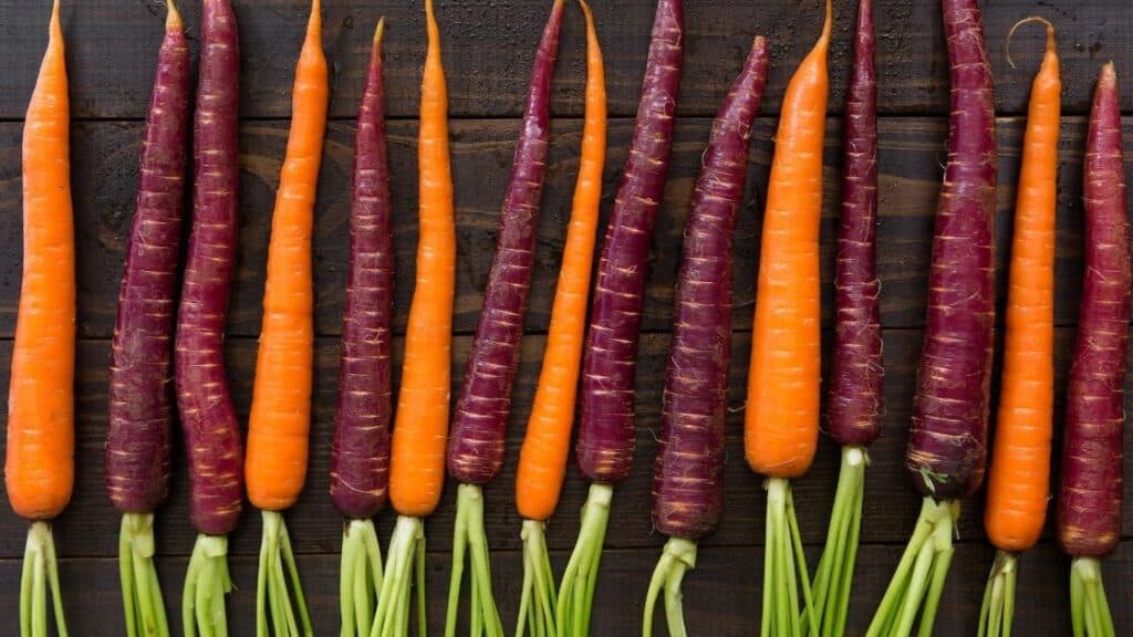 Why Did Carrots Turn from Purple to Orange