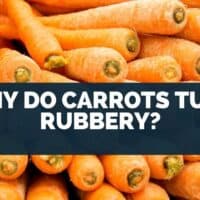 Why Do Carrots Turn Rubbery
