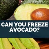 Can You Freeze Avocado