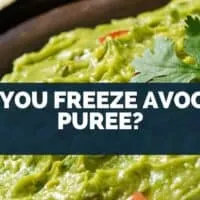 Can You Freeze Avocado Puree