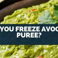 Can You Freeze Avocado Puree