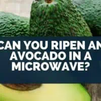 Can You Ripen An Avocado In A Microwave