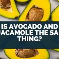 Is Avocado And Guacamole The Same Thing
