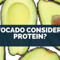 Is Avocado Considered A Protein
