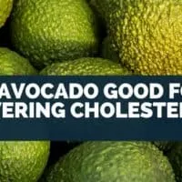 Is Avocado Good For Lowering Cholesterol