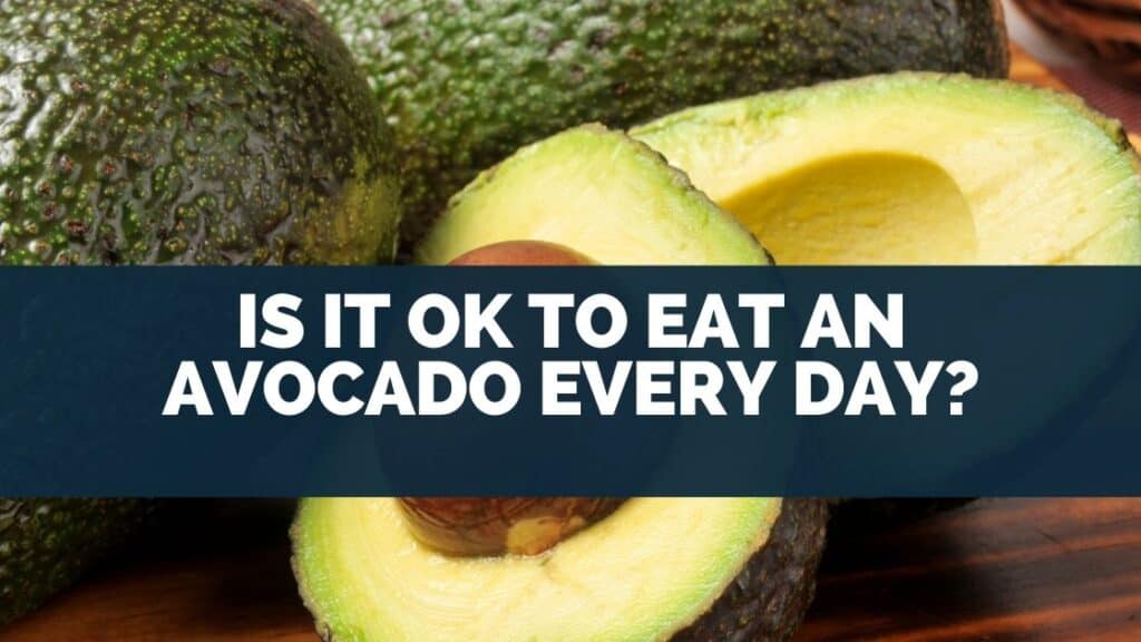Is It Ok To Eat An Avocado Every Day