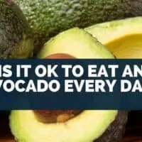 Is It Ok To Eat An Avocado Every Day