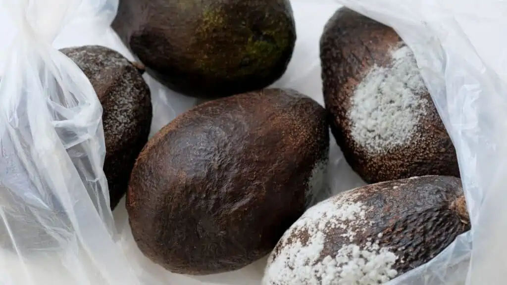 Overripe Avocado Vs Spoiled