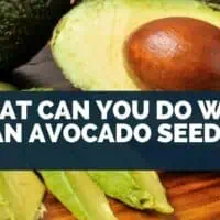 What Can You Do With An Avocado Seed
