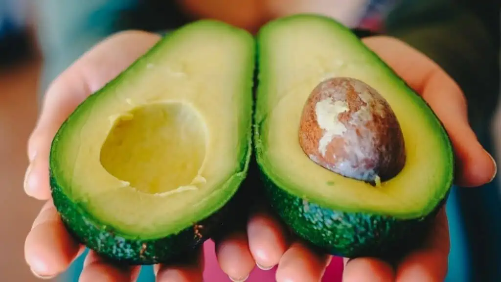 Whole Avocado Protein Content