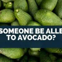 Can Someone Be Allergic to Avocado?