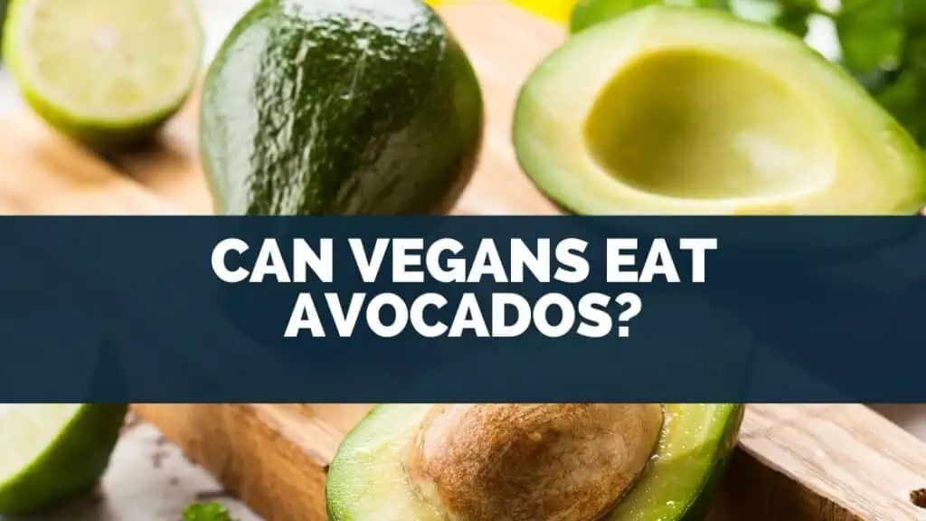 Can Vegans Eat Avocados?