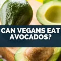 Can Vegans Eat Avocados?