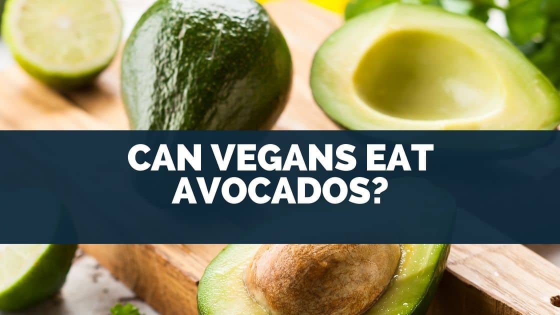 Can Vegans Eat Avocados? (Bees & Ethics)