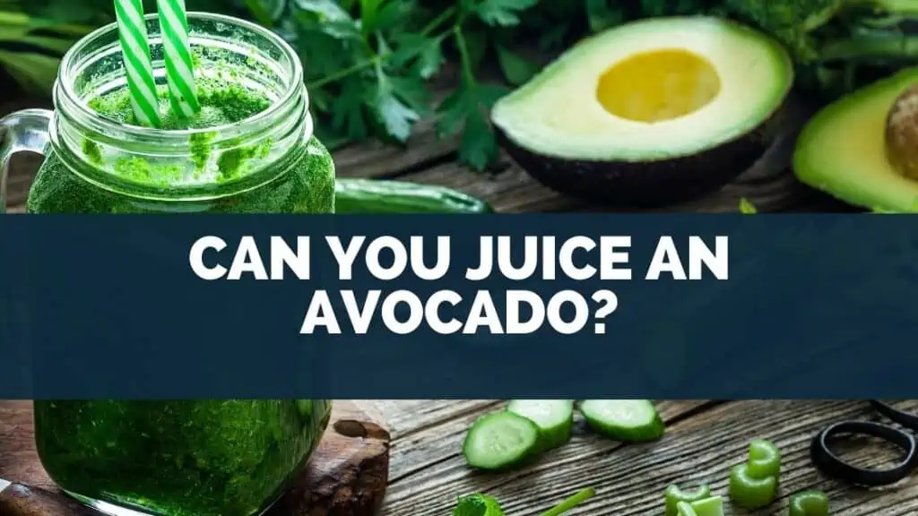Can You Juice An Avocado