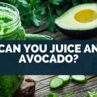 Can You Juice An Avocado