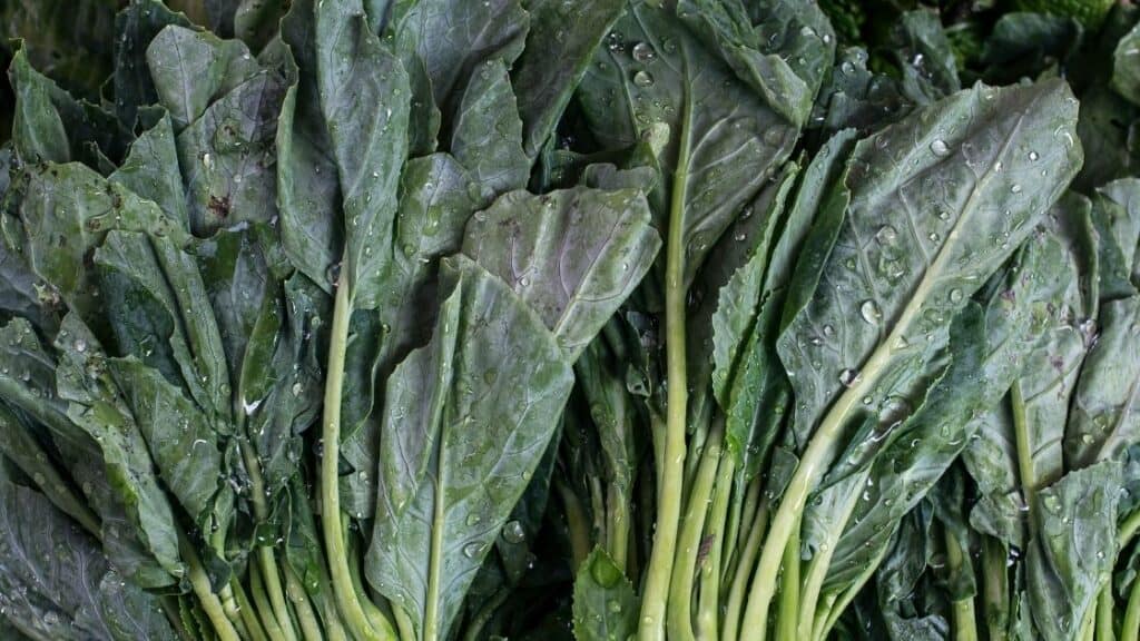 Are Broccoli Leaves Poisonous?