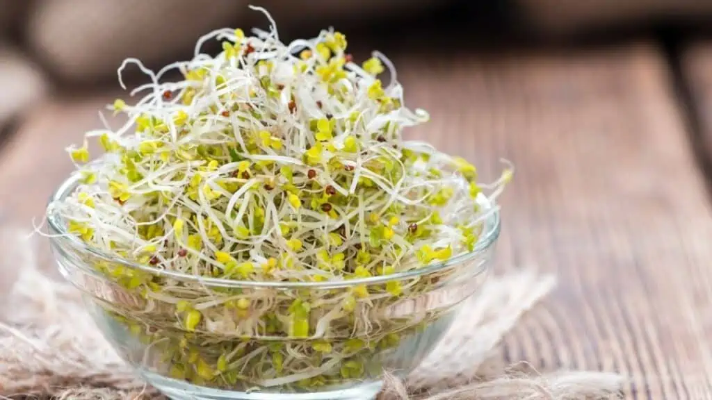 Are Broccoli Sprouts Healthier Than Broccoli