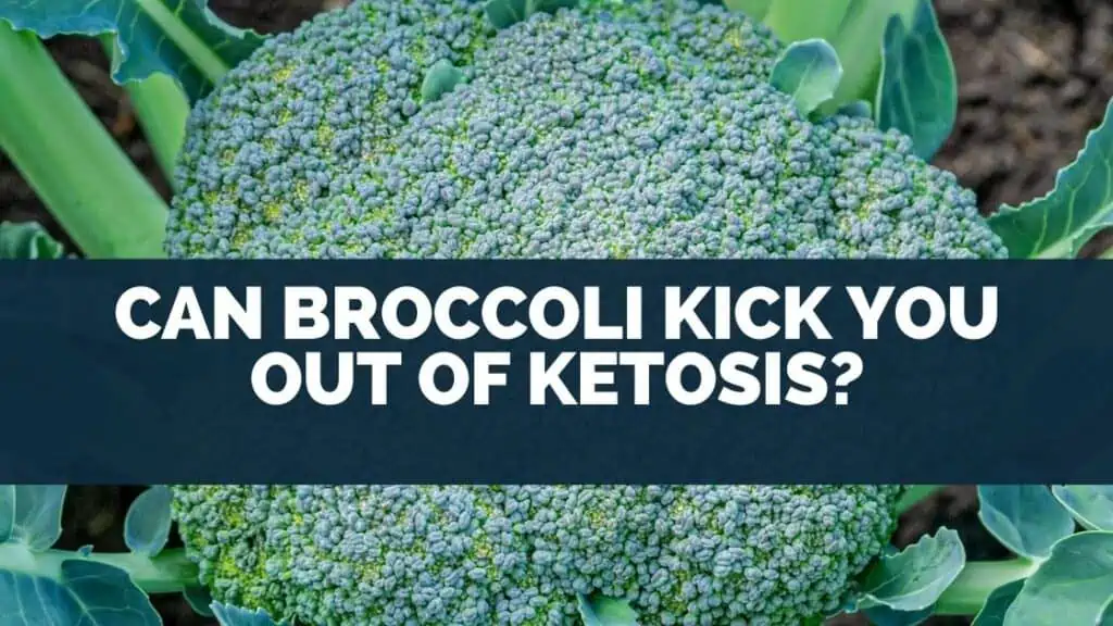 Can Broccoli Kick You Out Of Ketosis?