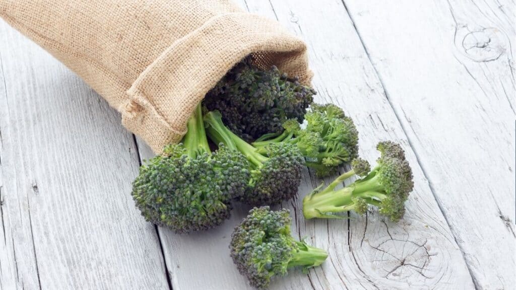 Can Old Broccoli Make You Sick?