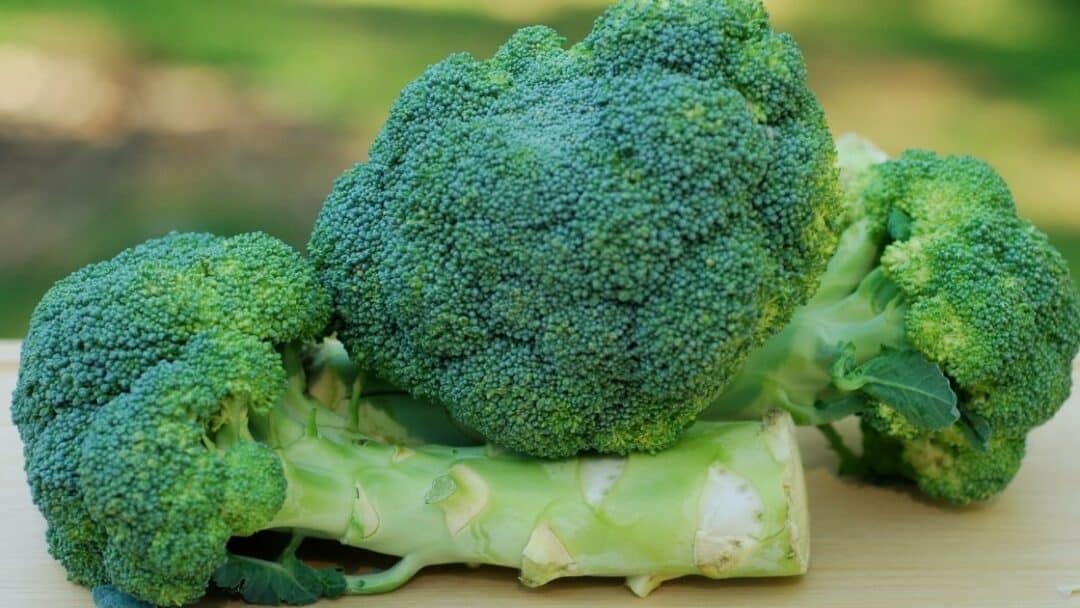 Does Broccoli Make Your Poop Green?