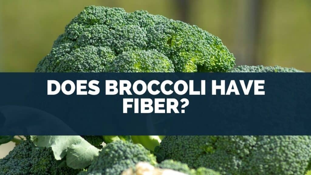 Is Broccoli A Good Source of Fiber