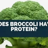 Does Broccoli Have Protein?