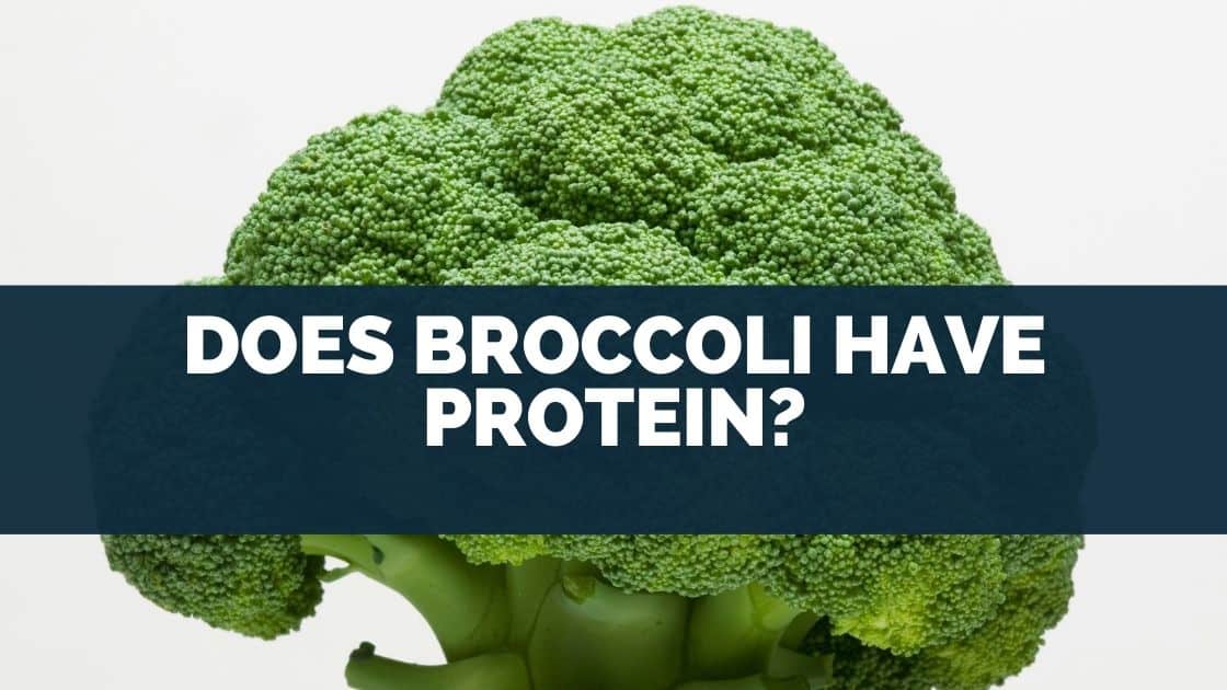 Does Broccoli Have Protein?