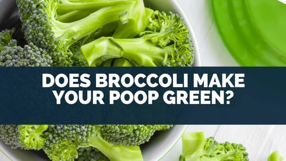 Does Broccoli Make Your Poop Green?