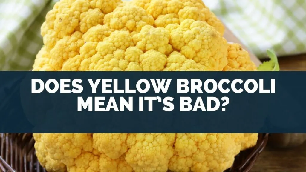 Does Yellow Broccoli Mean It’s Bad?