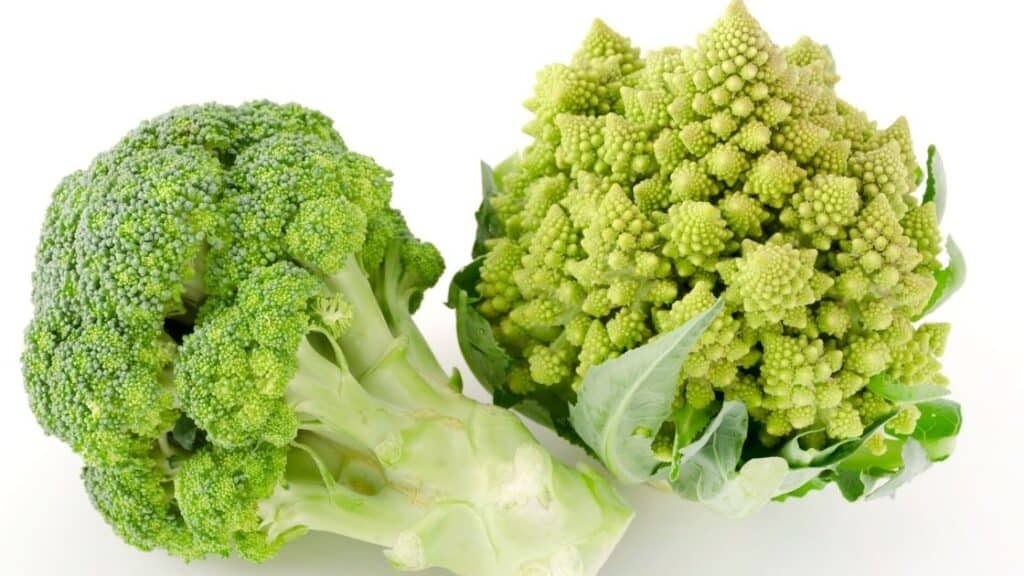 How Do You Make Broccoli Last Longer?