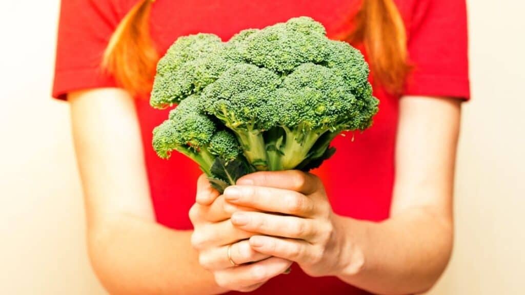 How Much Broccoli Is Too Much In A Day?