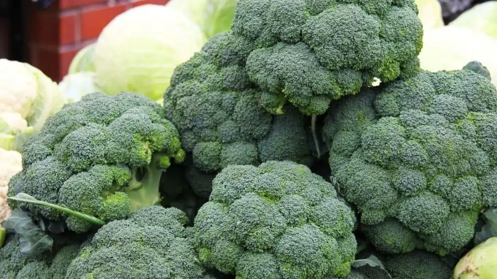 Is Broccoli A Laxative?