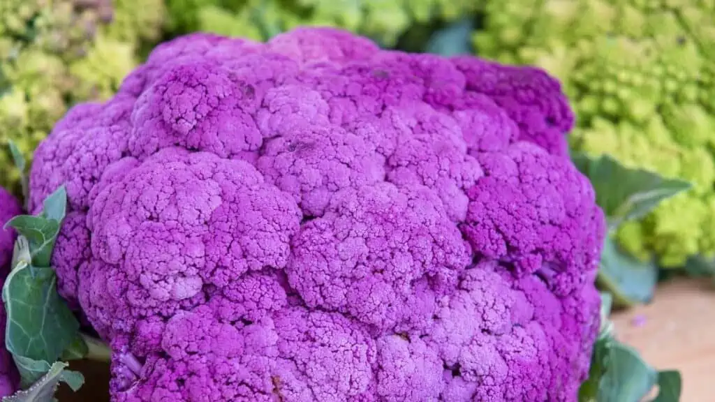 Is Broccoli A Low-Carb Food?