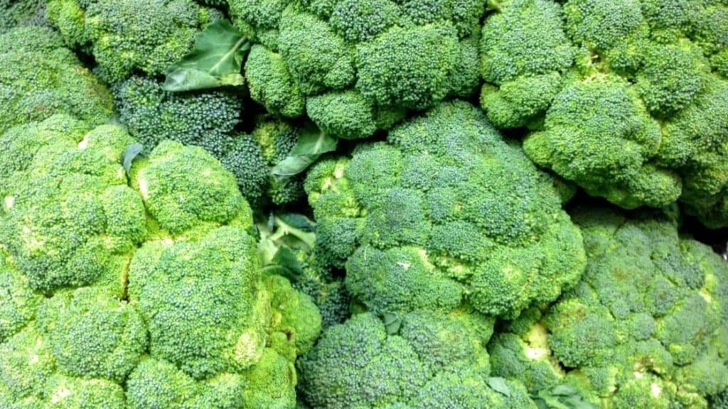 Is Broccoli Good For Digestive Issues
