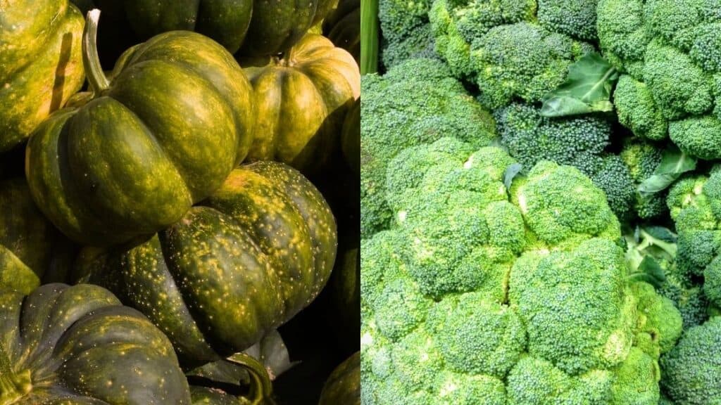 Squash Vs Broccoli Nutrition