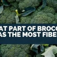 What Part Of Broccoli Has The Most Fiber?