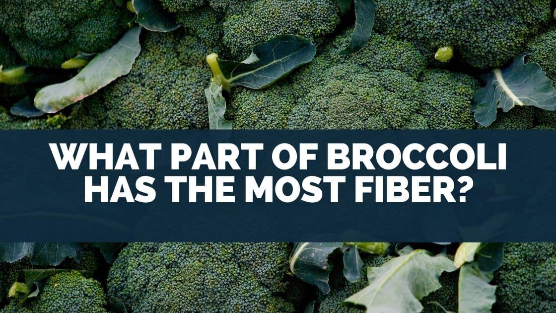 What Part Of Broccoli Has The Most Fiber?