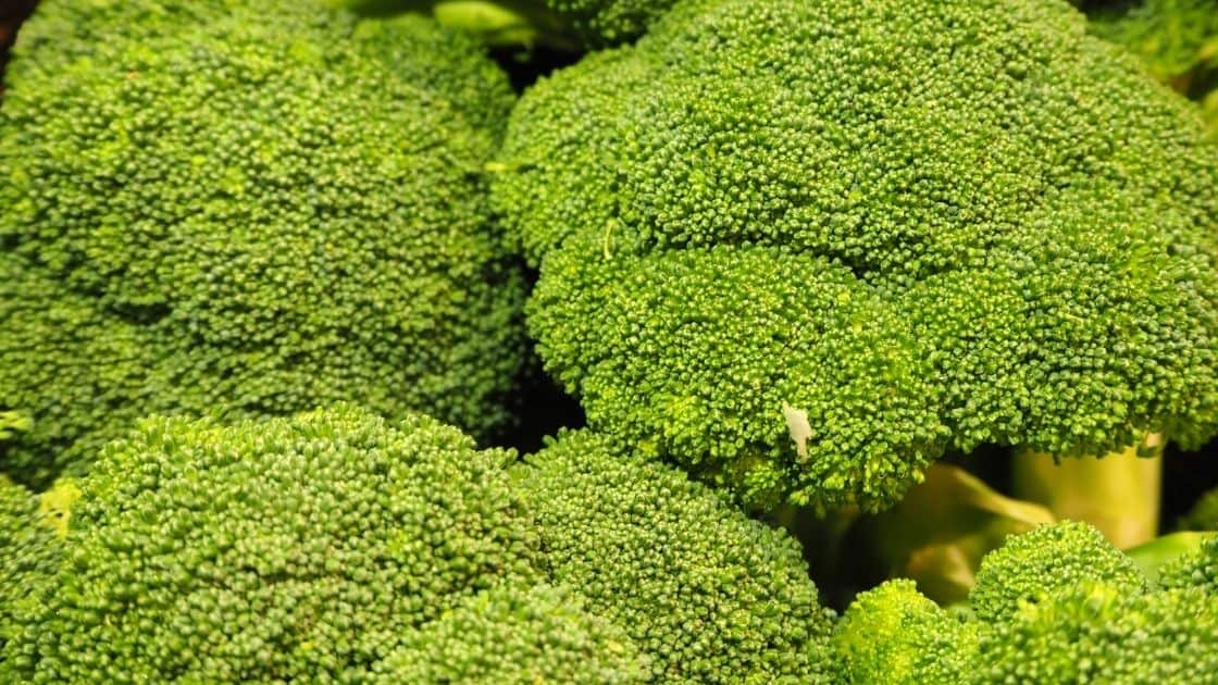 Does Broccoli Have Complex Carbs?