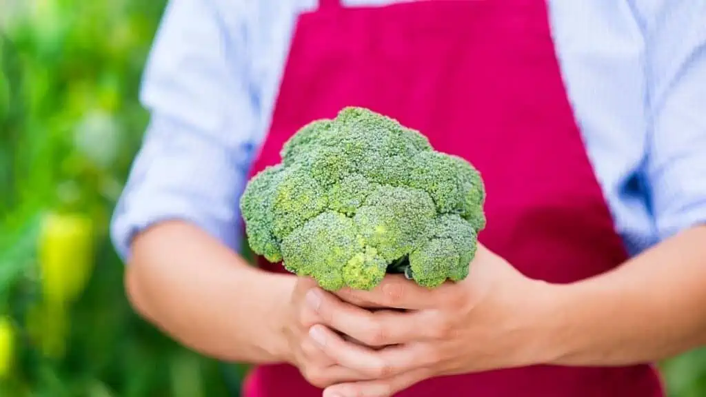 Why Does Broccoli Make Me Fart So Much?