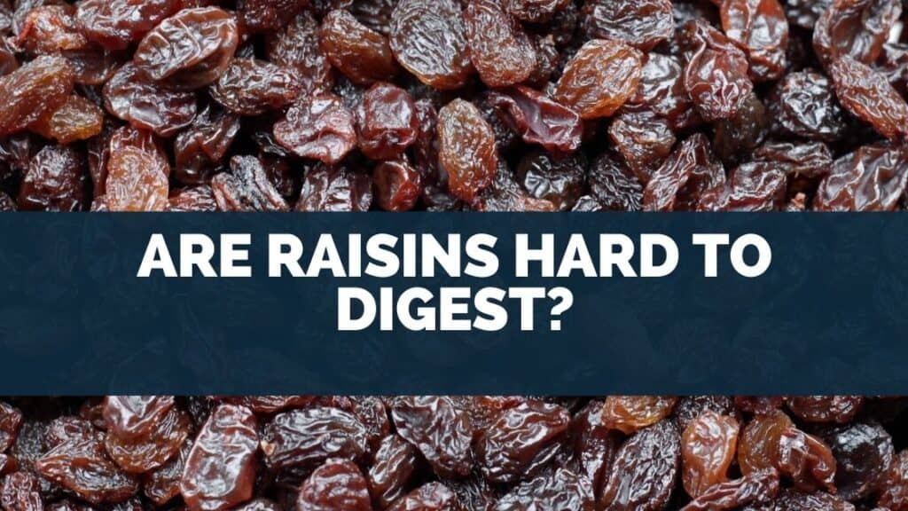 Are Raisins Hard To Digest