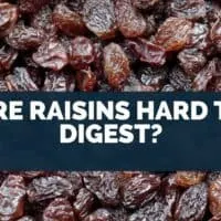 Are Raisins Hard To Digest