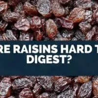 Are Raisins Hard To Digest