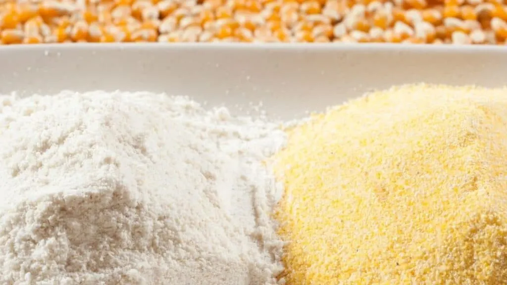 Can You Use Maseca After Expiration Date