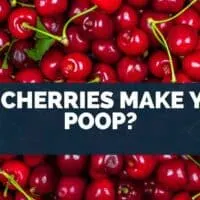 Do Cherries Make You Poop?