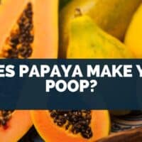 Does Papaya Make You Poop?
